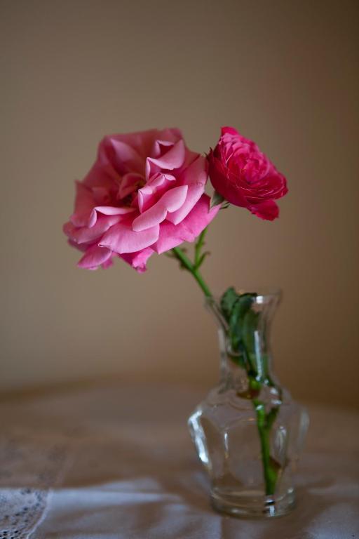 Pensionat Styrsoe Skaeret 部屋 写真